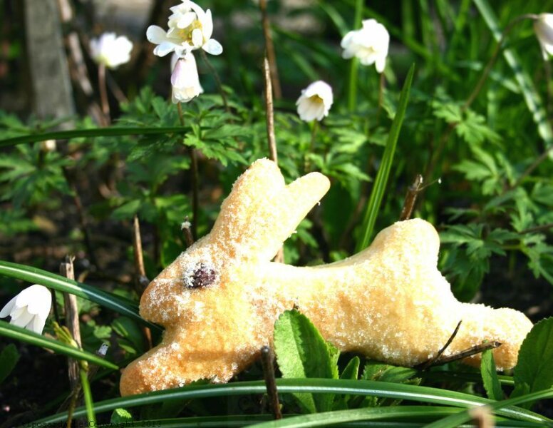Sardisches Osterbrot - Backrezept