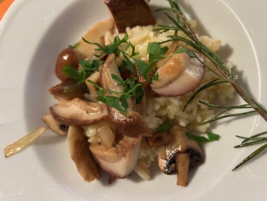 Steinpilz Risotto alla Sarda – mit Carnaroli Reis oder Fregola - Steinpilz Risotto mit Carnaroli Reis &amp; Fregola | Tiposarda