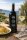 Prendas Vermentino DOC 2025